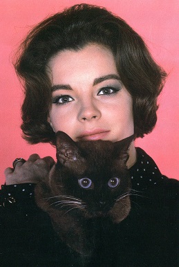 ���� �������